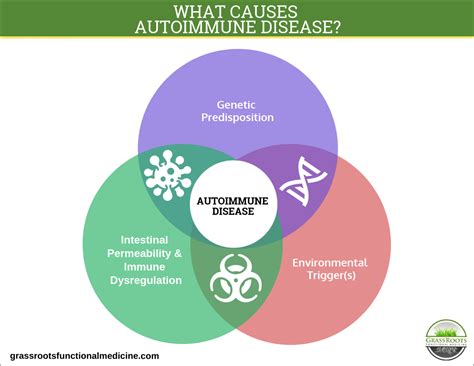 Infections <b>can</b> trigger <b>autoimmune</b> <b>disease</b>, especially in people with certain genes. . Can ivermectin cause autoimmune disease